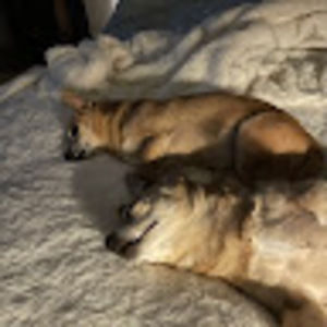 Meet your Posher, Kit